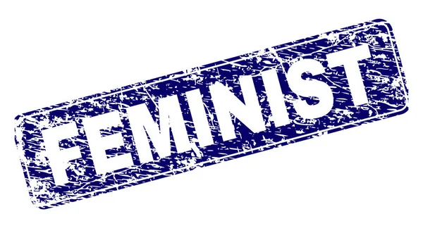 Grunge feminista keretes bélyegző lekerekített téglalap — Stock Vector