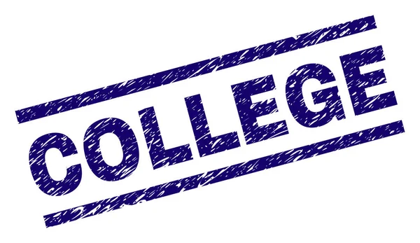 Üniversite mühür grunge tarzı ile yazdırma. Mavi vektör lastik doku ile üniversite metnin yazdırın. Metin etiketi paralel çizgiler arasında yer alıyor.