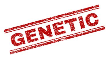 Dokulu genetik damga mühür çizik
