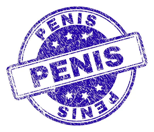 Scratched Textured PENIS Stamp Seal — Stock Vector