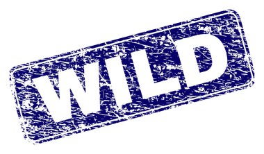 Yuvarlatılmış dikdörtgen damga grunge vahşi çerçeveli