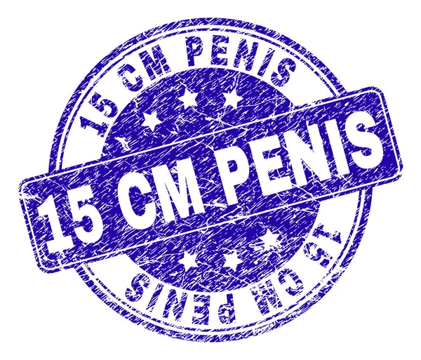 Poškrábaný texturou 15 Cm Penis Značkovací destička — Stockový vektor