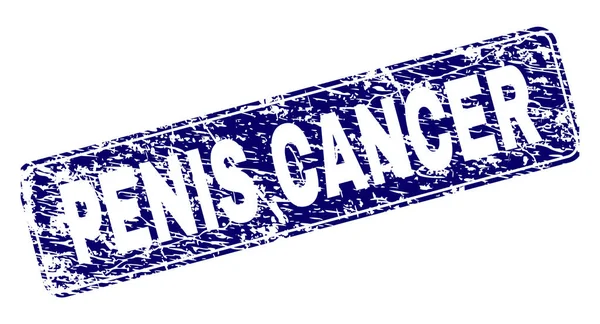 Grunge PENIS CANCER Timbre rectangulaire arrondi encadré — Image vectorielle