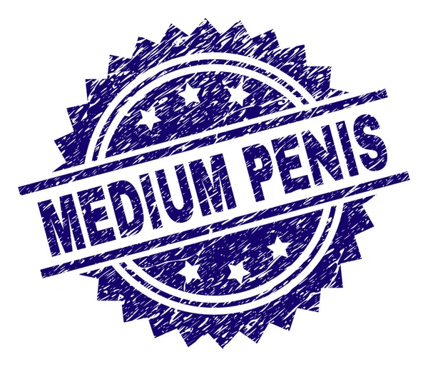 Repad texturerat medelstor Penis stämpelplatta — Stock vektor