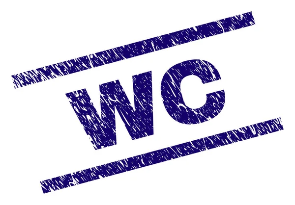 Poškrábaný texturou Wc destička — Stockový vektor