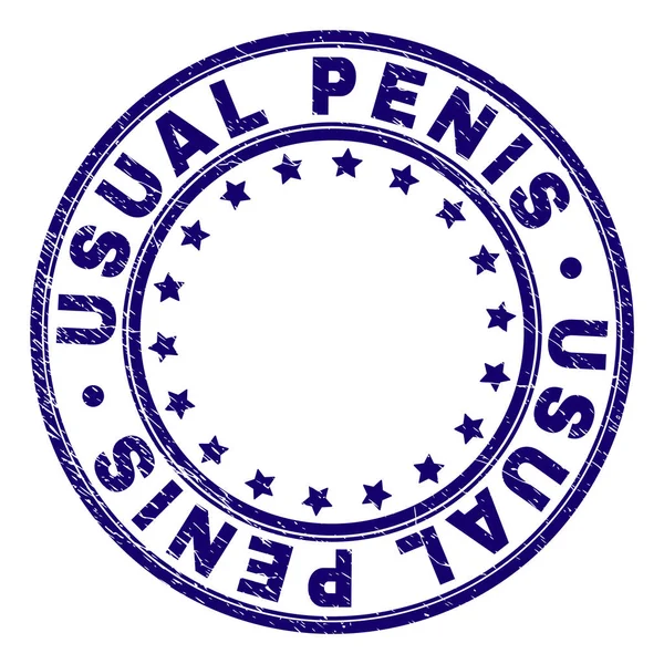 Scratched Textured USUAL PENIS Round Stamp Seal — Stock Vector