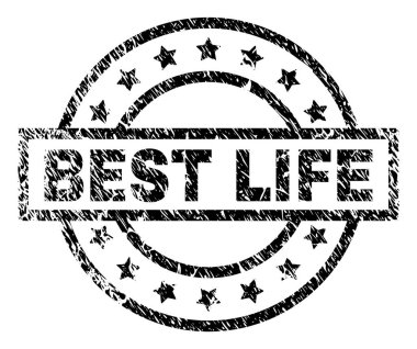 Grunge en iyi hayat damga mühür dokulu