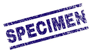 Dokulu numune damga mühür çizik