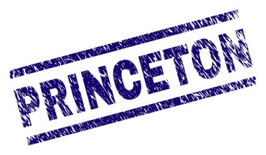 Princeton filigran grunge tarzı ile kapatın. Mavi vektör lastik doku ile Princeton metnin yazdırın. Metin başlık paralel çizgiler arasında yer alıyor.