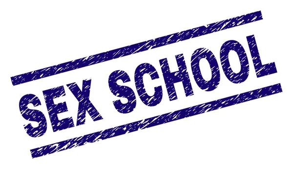 Grunge Texturé SEX SCHOOL Stamp Seal — Image vectorielle