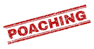 Çizik dokulu kaçak damga mühür