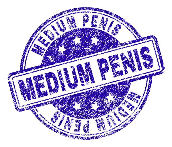 Grunge orta Penis damga mühür dokulu — Stok Vektör