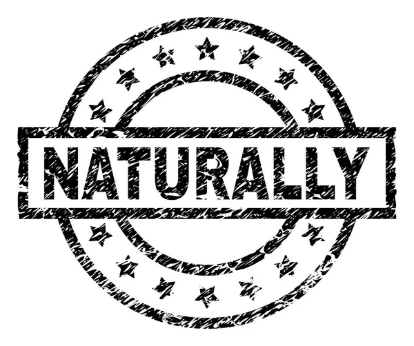 Sello de sello natural con textura rayada — Vector de stock