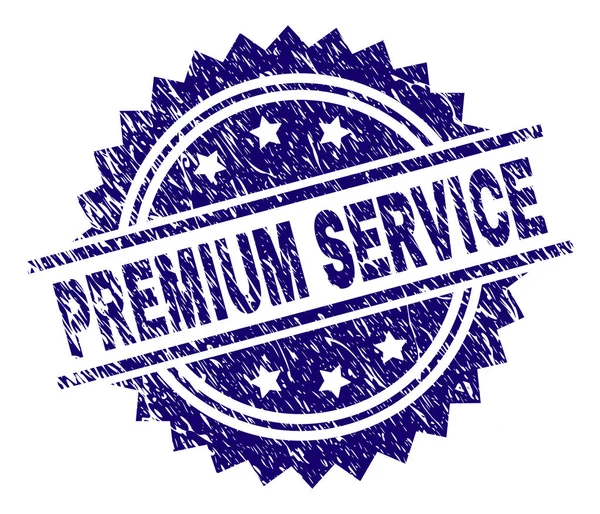 Porysowana plombie teksturowanej Premium usługi — Wektor stockowy
