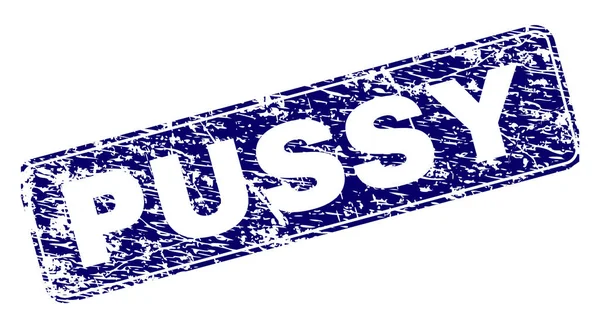 Selo de retângulo arredondado emoldurado PUSSY riscado — Vetor de Stock