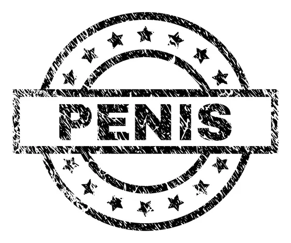 Grunge texturou Penis destička — Stockový vektor