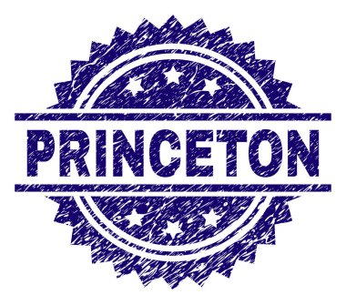 Dokulu Princeton damga mühür çizik