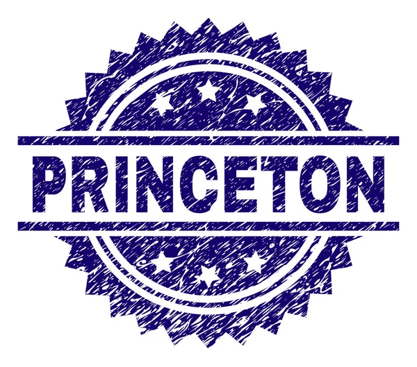 Scratched Textured PRINCETON Stamp Seal — Stock Vector