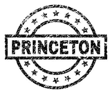 Princeton damga mühür filigran sıkıntı tarzı ile. Dikdörtgen, daire ve yıldız ile tasarlanmıştır. Siyah vektör kauçuk baskı kirli doku ile Princeton başlık.