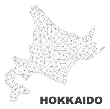 Vektör poligonal Mesh Hokkaido harita