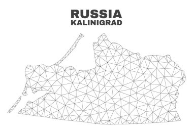 Vektör poligonal Mesh Kalinigrad bölge haritası