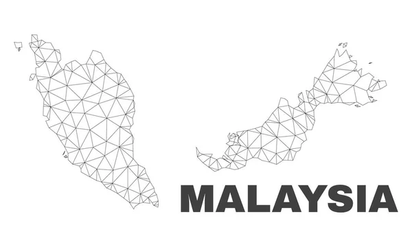 Vector Polygonal Mesh Malaysia Map — Stock Vector