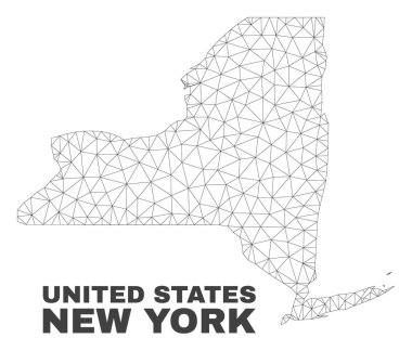 Vektör poligonal Mesh New York Eyalet haritası