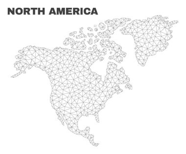 Vektör poligonal Mesh Kuzey Amerika Haritası