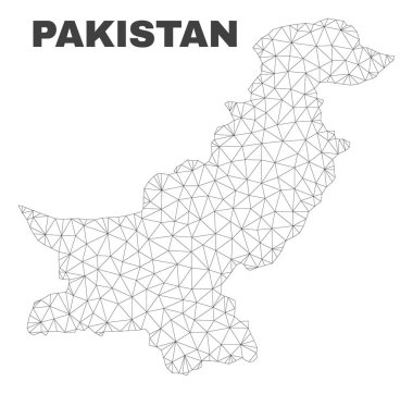 Vektör poligonal Mesh Pakistan Haritası