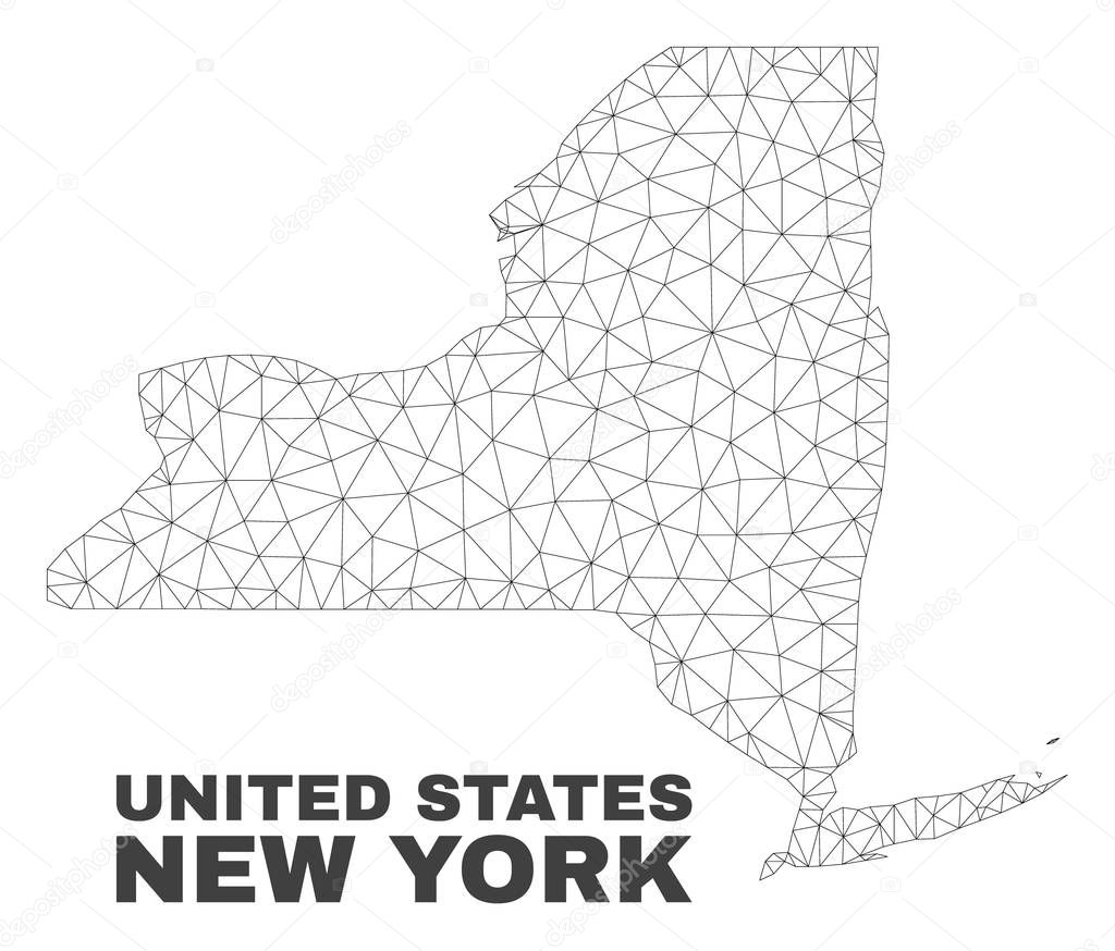 Vector Polygonal Mesh New York State Map