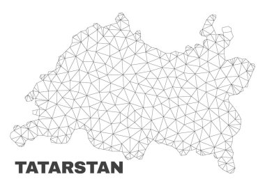 Vektör poligonal Mesh Tataristan Haritası
