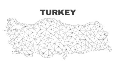 Vektör poligonal Mesh Türkiye Haritası