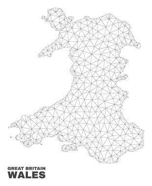 Vektör poligonal Mesh Galler göster