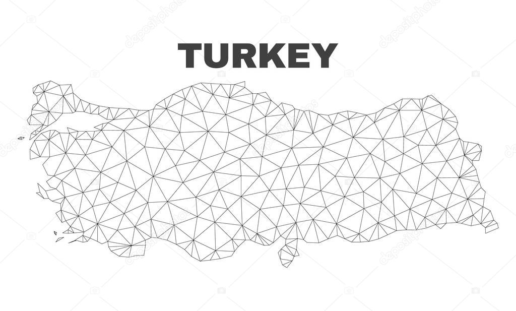 Vector Polygonal Mesh Turkey Map