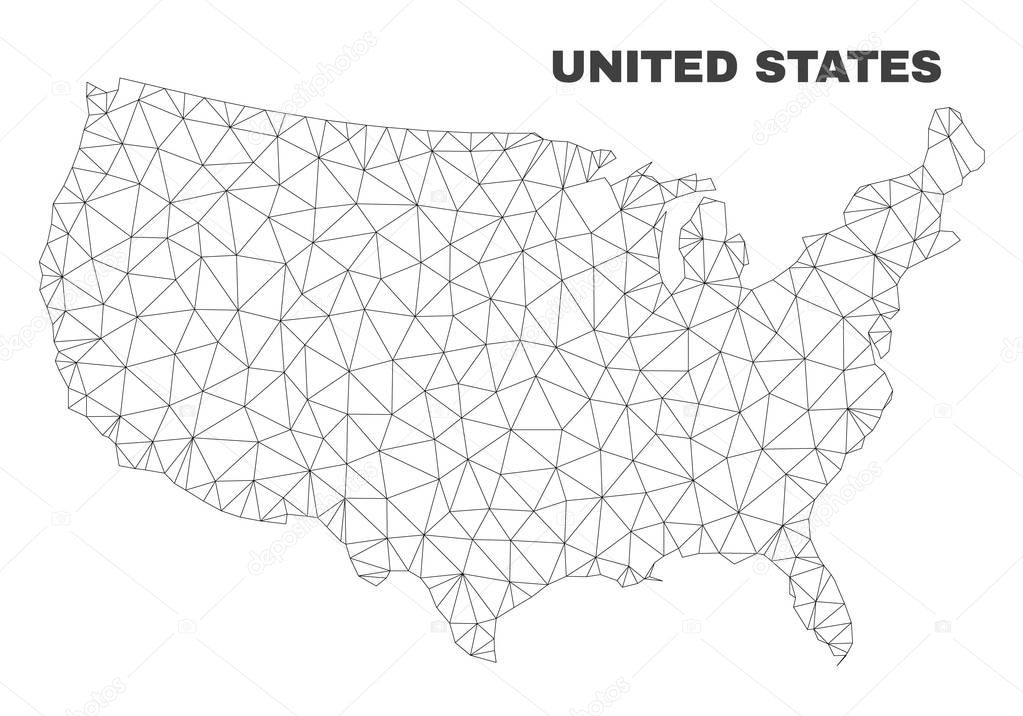 Vector Polygonal Mesh United States Map
