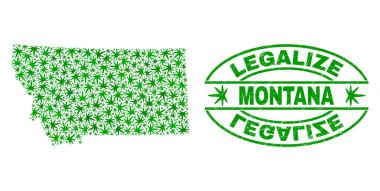 Marihuana yaprağı mozaik Montana Eyaleti harita ile yasallaştırmak Grunge damga mühür