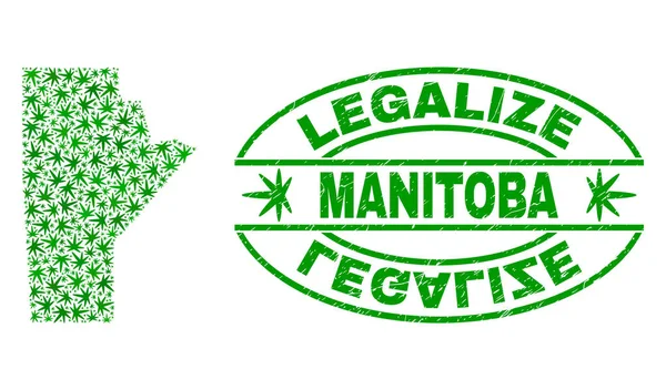Marihuana bladeren mozaïek Manitoba provincie kaart met legaliseren Grunge stempel-zegel — Stockvector