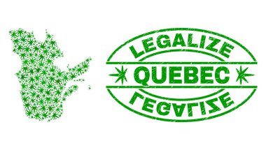 Marihuana yaprağı kolaj Quebec eyaleti harita ile yasallaştırmak Grunge damga mühür