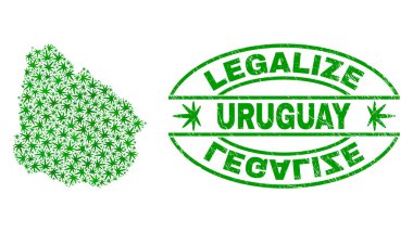 Esrar yaprakları ile kolaj Uruguay harita yasallaştırmak Grunge damga mühür