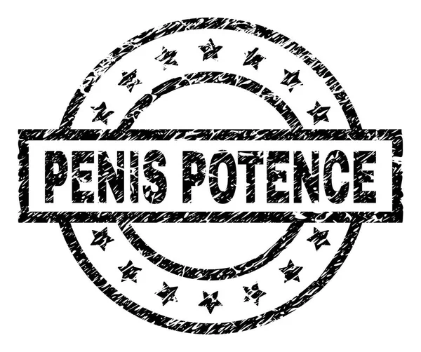Grunge getextureerde Penis Potence stempel-zegel — Stockvector