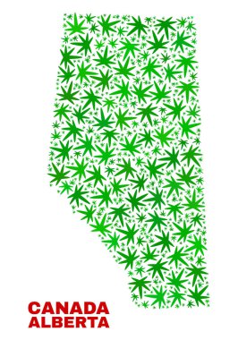 Esrar yaprakları mozaik Alberta eyaletinde harita