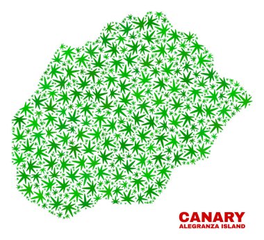 Esrar yaprakları mozaik Alegranza ada Haritası