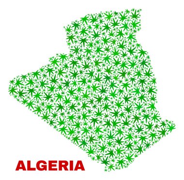 Marihuana yaprağı mozaik Cezayir Haritası