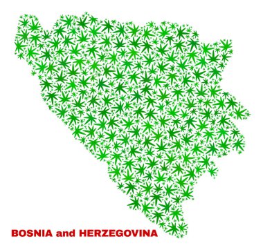 Kenevir yaprak mozaik Bosna Hersek harita