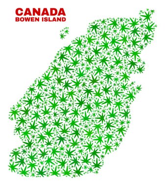 Kenevir yaprak kolaj Bowen ada Haritası