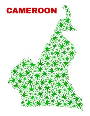 Kenevir yaprak mozaik Kamerun Haritası