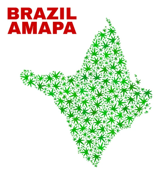 Hemp Leaves Collage Amapa Mapa do Estado —  Vetores de Stock