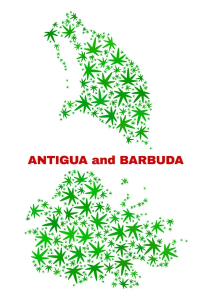 Cannabisblätter Mosaik Antigua und Barbuda Karte — Stockvektor