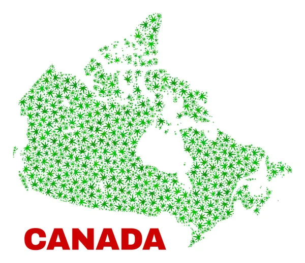 Mosaïque des feuilles de chanvre Canada Carte — Image vectorielle