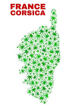 Kenevir yaprak kolaj Corsica harita